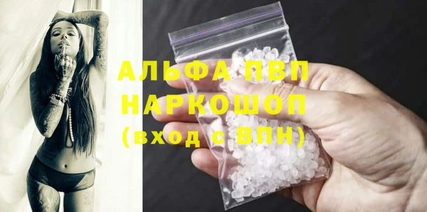 ECSTASY Богданович
