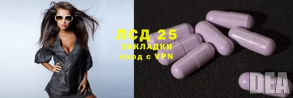 ECSTASY Богданович