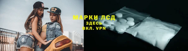 ECSTASY Богданович