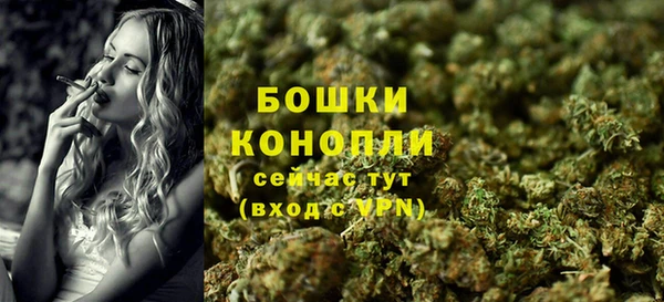 ECSTASY Богданович