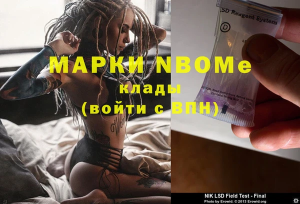 ECSTASY Богданович