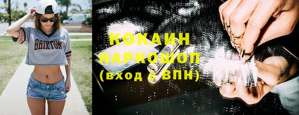 ECSTASY Богданович