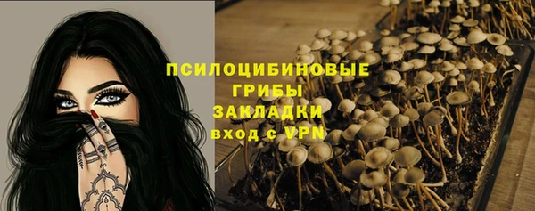 ECSTASY Богданович
