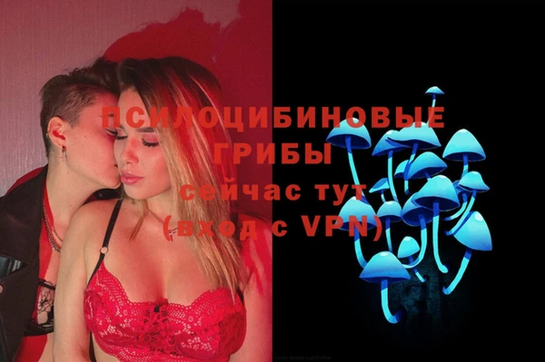 соль ск Бородино