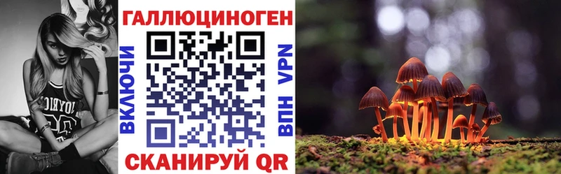 Купить закладки  Мезень  Галлюциногенные грибы прущие грибы 